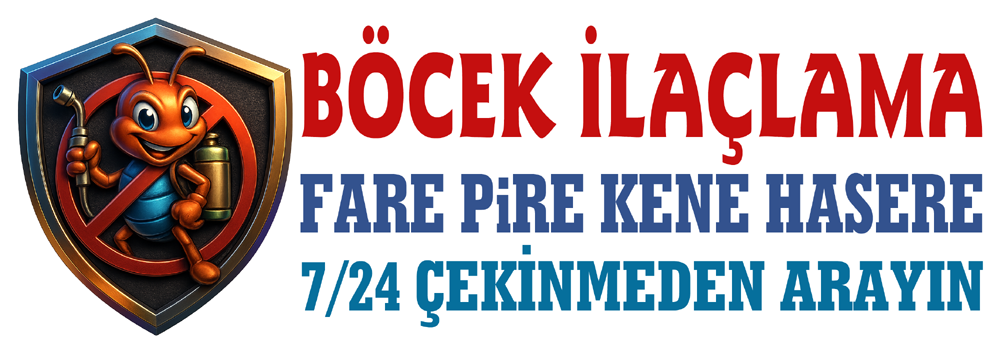 İstanbul Böcek İlaçlama | Profesyonel Haşere Kontrol Hizmetleri