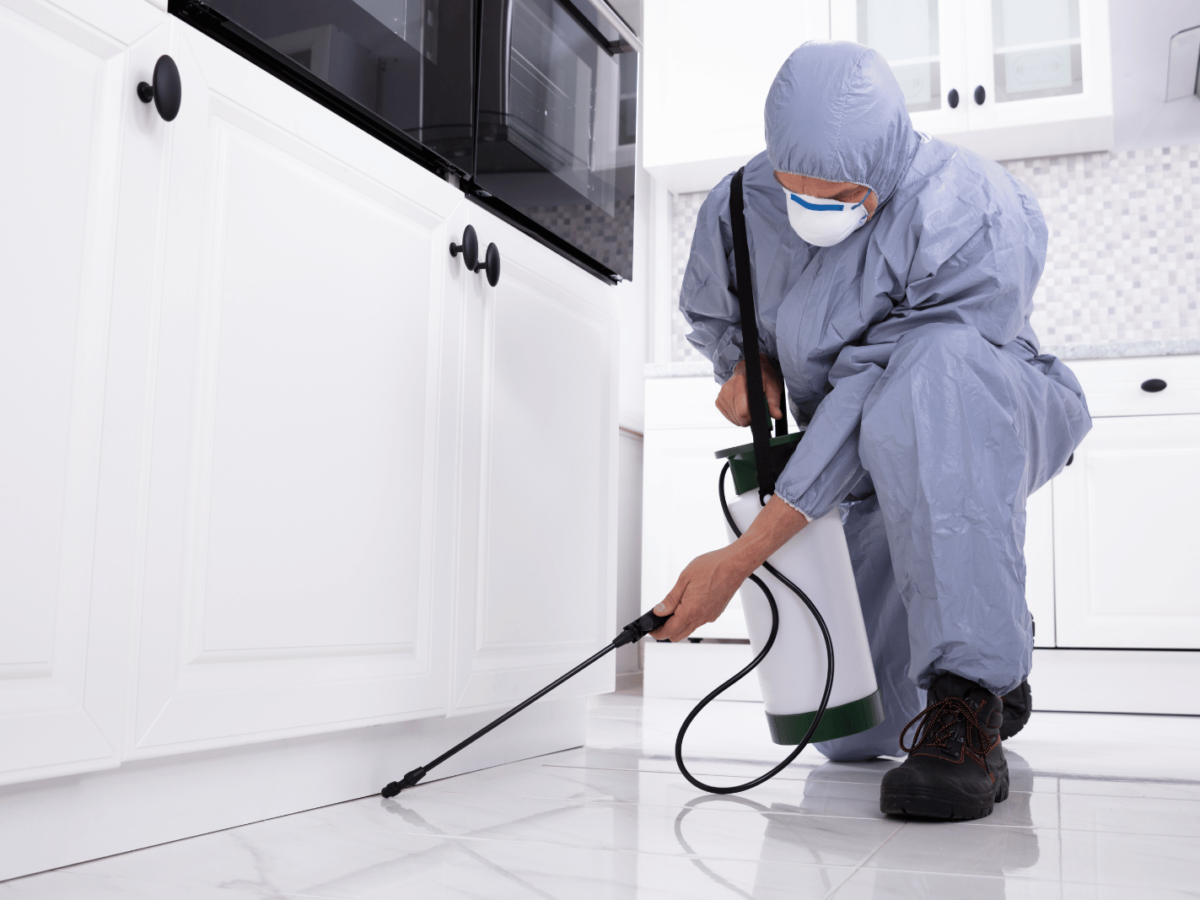 İstanbul’un her semtinde profesyonel böcek ilaçlama çözümleri ile sağlıklı ve güvenli yaşam alanları oluşturuyoruz, uzman ekibimizle kalıcı sonuç için daima yanınızdayız.