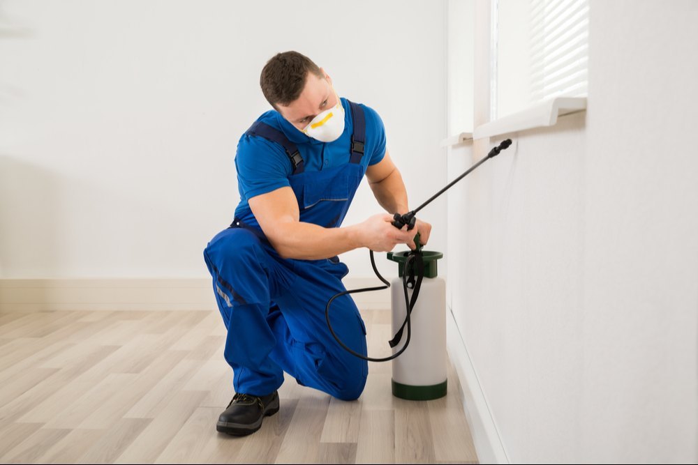 Sivrisinek İlaçlama