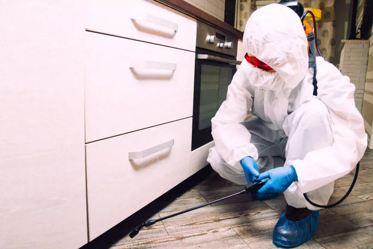 Market ve Mağaza Böcek İlaçlama