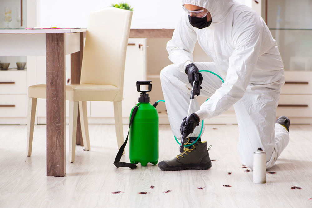 Hamam Böceği İlaçlama